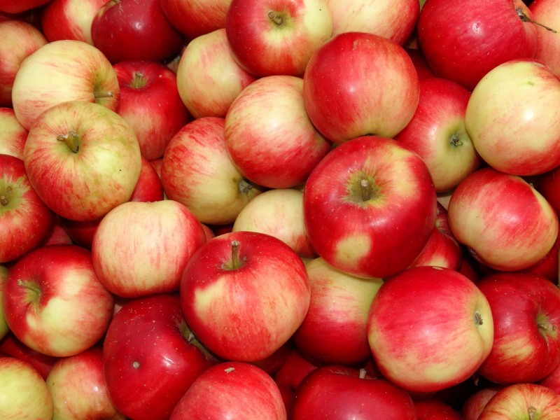 点击大图看下一张：红彤彤营养丰富的苹果图片