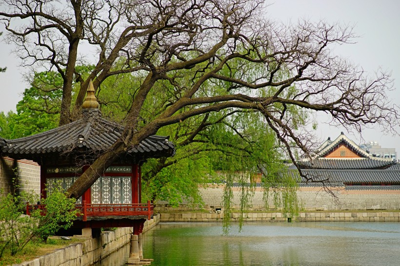 点击大图看下一张：韩国首尔景福宫建筑风景图片