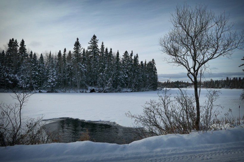 点击大图看下一张：加拿大魁北克冬季雪景图片