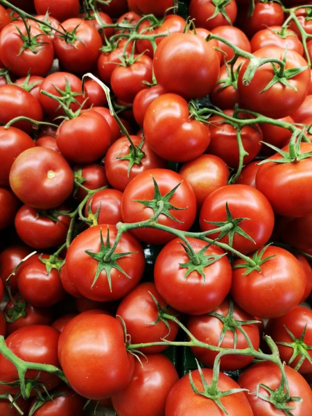 点击大图看下一张：红色营养丰富的西红柿图片