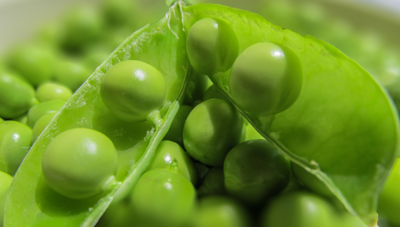 点击大图看下一张：绿色新鲜营养的豌豆图片