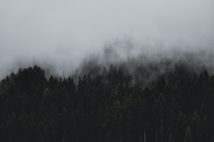 点击大图看下一张：白色蒸腾的雾风景图片
