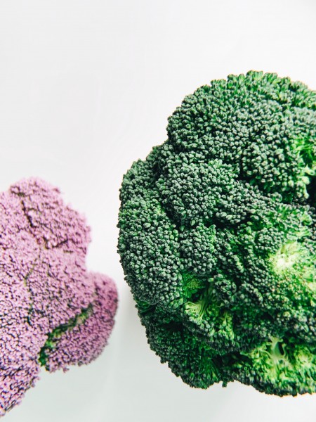 点击大图看下一张：营养丰富的绿色西蓝花图片