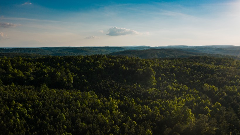 点击大图看下一张：无人机航拍森林图片