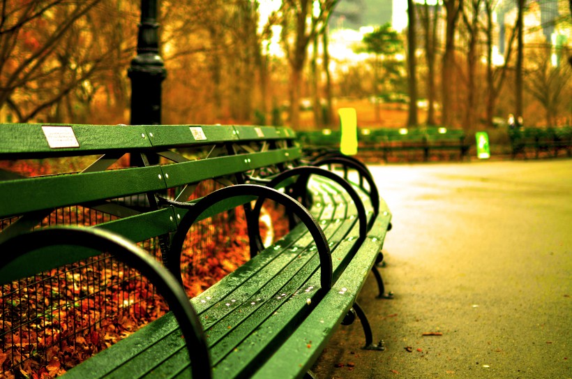 点击大图看下一张：公园供人休憩的木质长椅图片
