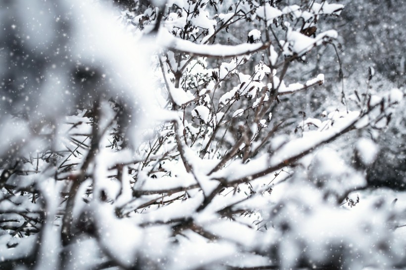 点击大图看下一张：白茫茫的冬季图片