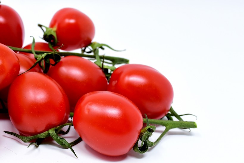 点击大图看下一张：新鲜红色的番茄图片