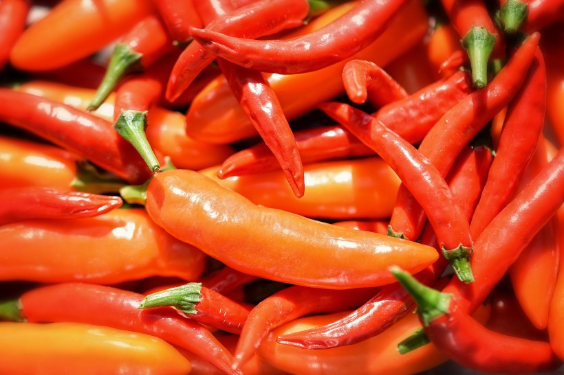 点击大图看下一张：新鲜辛辣的红色辣椒图片