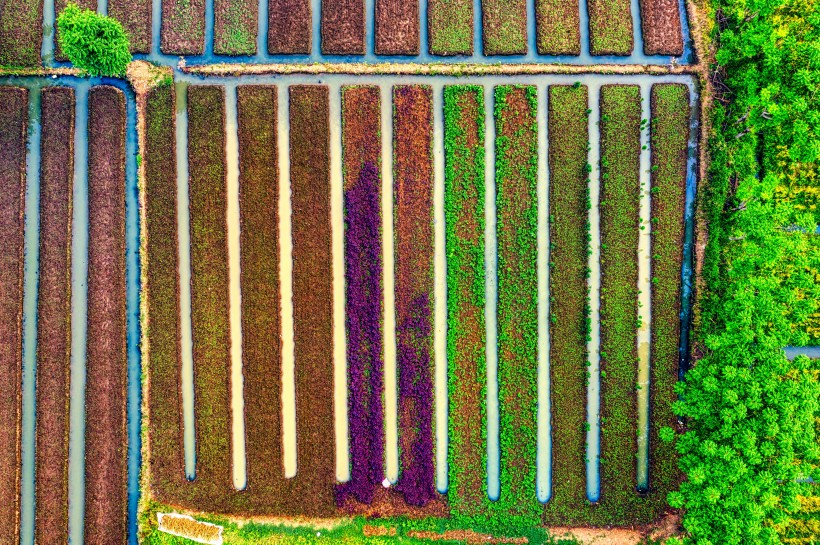 点击大图看下一张：无人机拍摄的农田图片