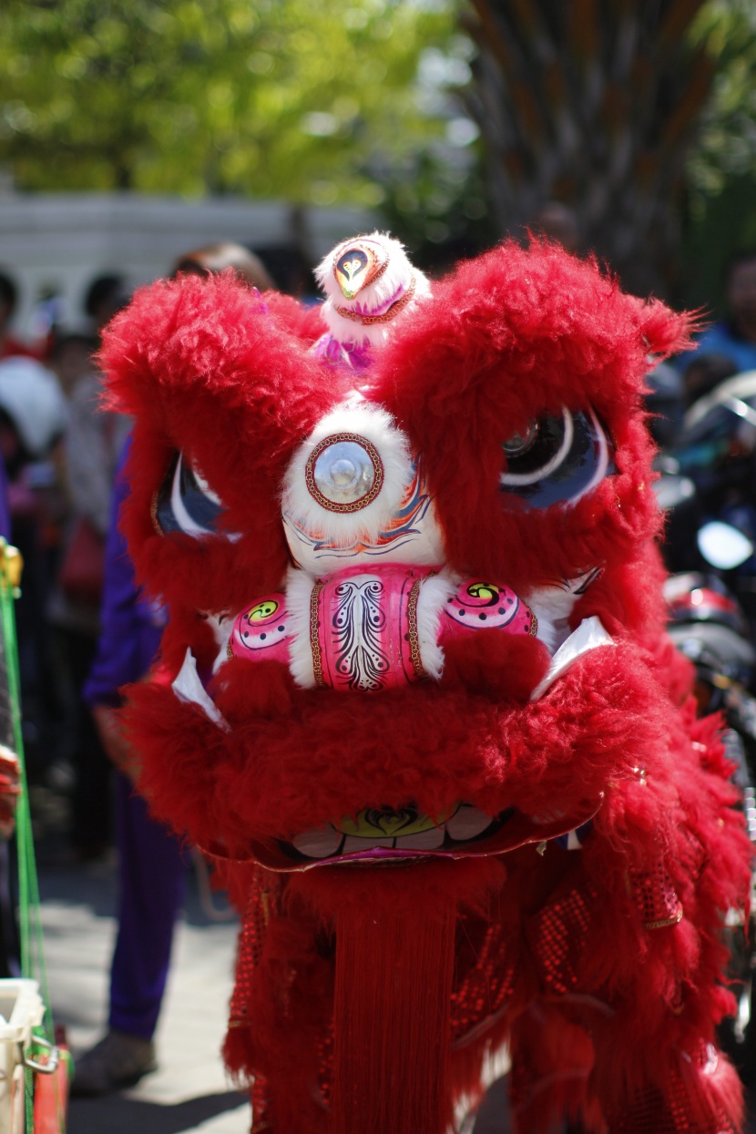 点击大图看下一张：喜庆的节日舞狮图片