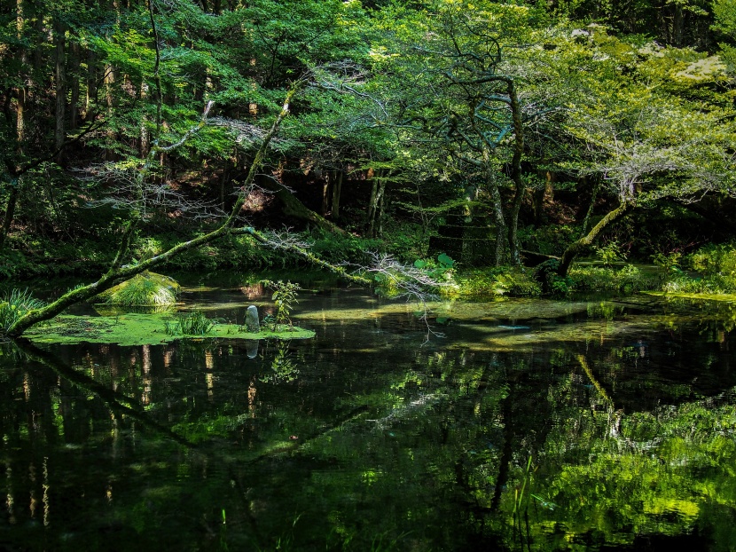 点击大图看下一张：日本九州岛熊本如画风景图片 