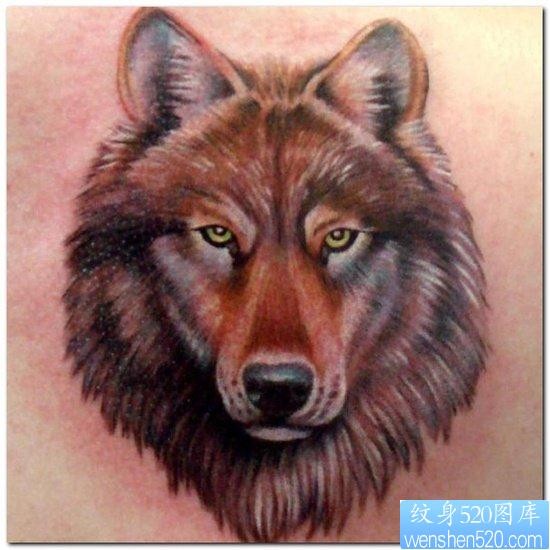 点击大图看下一张：男生喜欢的经典的狼头纹身作品