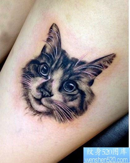 点击大图看下一张：美女腿部猫咪头像纹身图片