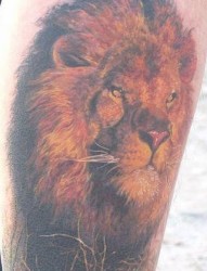 狮子纹身图片：腿部彩色狮子头像纹身图案