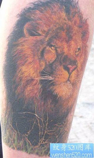 点击大图看下一张：狮子纹身图片：腿部彩色狮子头像纹身图案