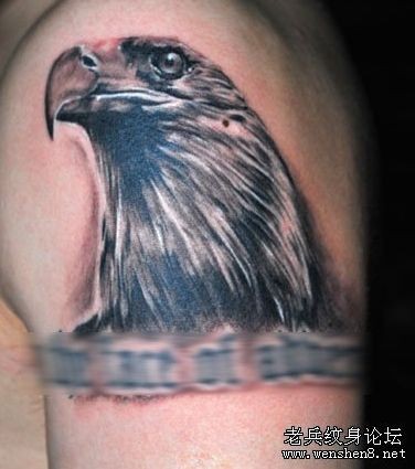 点击大图看下一张：老鹰纹身图片：一张手臂老鹰头像纹身图片
