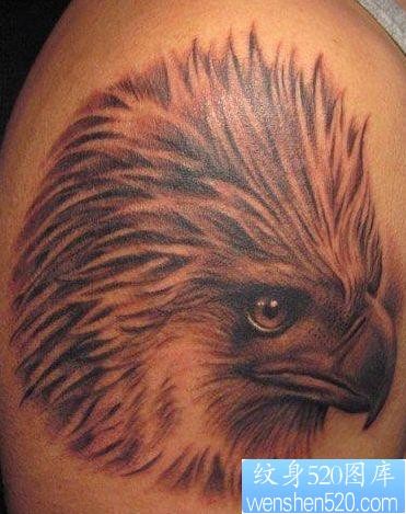 点击大图看下一张：老鹰纹身图片：经典另类手臂老鹰头像纹身图案