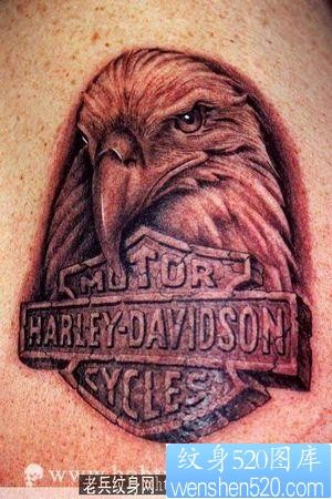 点击大图看下一张：老鹰纹身图片：经典流行手臂老鹰头像地裂文字纹身图案
