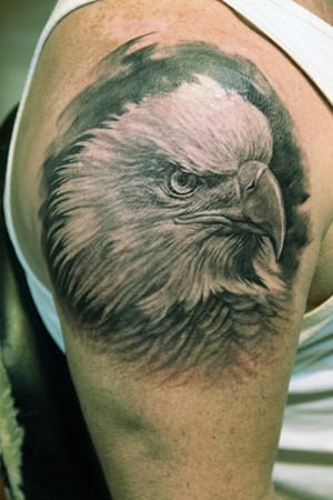 点击大图看下一张：好看帅气的手臂老鹰头像纹身图3