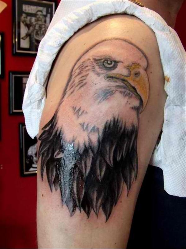 点击大图看下一张：好看帅气的手臂老鹰头像纹身图5