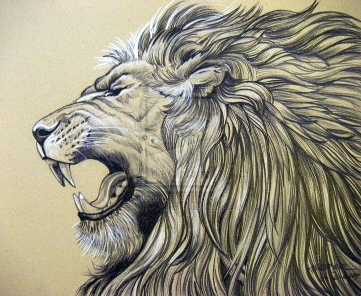 点击大图看下一张：大气的狮子头纹身