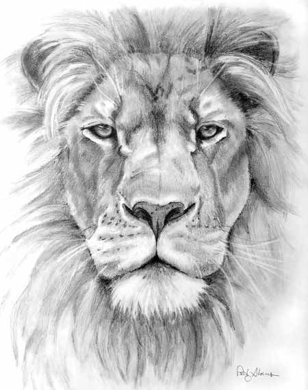 点击大图看下一张：非常逼真的狮子头纹身手稿