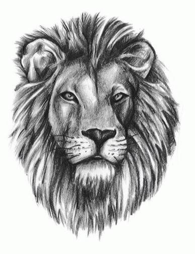 点击大图看下一张：霸气的狮子头像纹身手稿图2