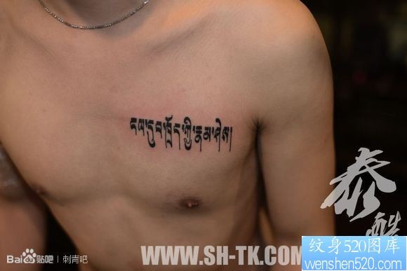 点击大图看下一张：男生胸部一幅梵文纹身图片
