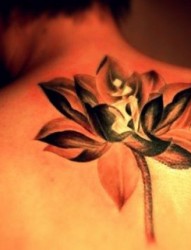 漂亮有个性的莲花梵文纹身