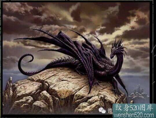 点击大图看下一张:霸气凶猛的龙纹身手稿套图图7