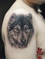 男生手臂经典超帅的黑灰狼头纹身作品