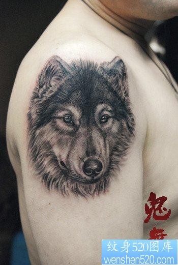 点击大图看下一张：男生手臂经典超帅的黑灰狼头纹身作品