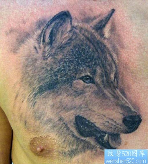 点击大图看下一张：男生前胸时尚经典的狼头纹身作品