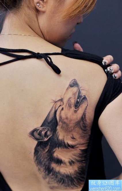 点击大图看下一张：美女后背狼头纹身图片由纹身520图库推荐