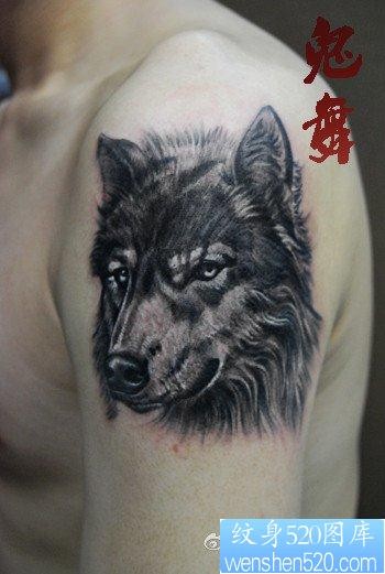 点击大图看下一张：手臂一幅脸部严肃的狼头纹身作品