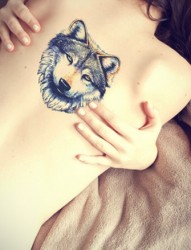 女性背部时尚的狼头纹身