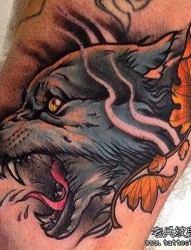 最好的纹身馆推荐腿部彩色狼头纹身图案