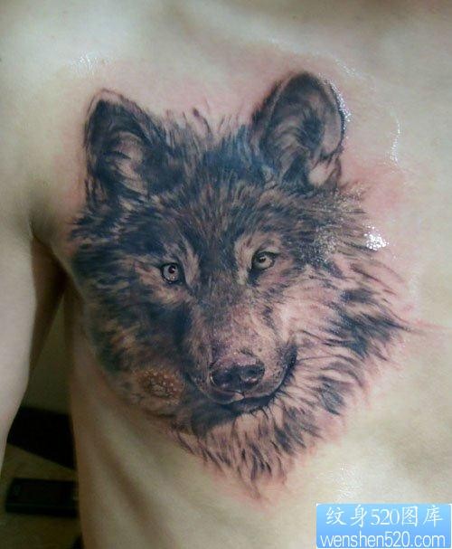 点击大图看下一张：男人胸前很酷潮流的狼头纹身作品
