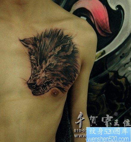 点击大图看下一张：男人胸前一幅很帅凶悍的狼头纹身作品