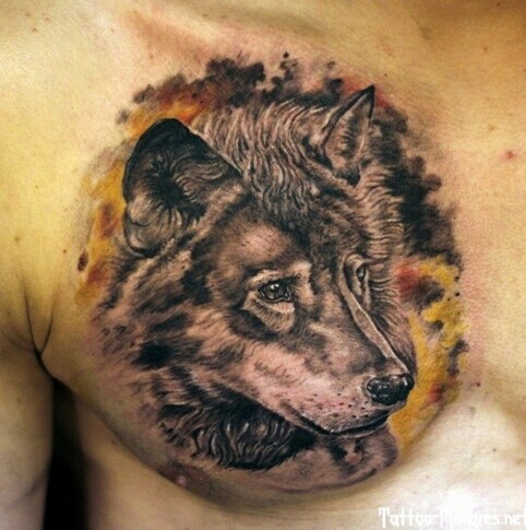 点击大图看下一张：胸部霸气有个性的狼头纹身
