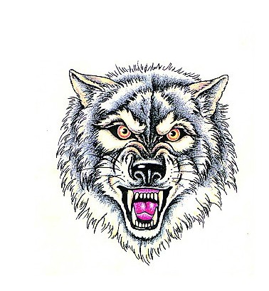 点击大图看下一张：霸气的狼头纹身手稿图3