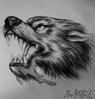 点击大图看下一张：霸气的狼头纹身手稿图4