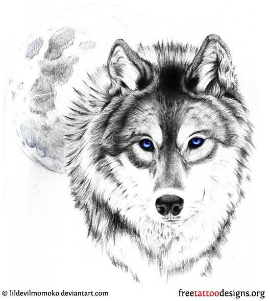 点击大图看下一张：个性十足的狼头纹身手稿图3