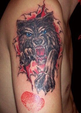 点击大图看下一张：手臂上霸气的狼纹身图3