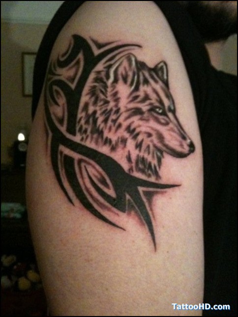 点击大图看下一张：帅气的大臂狼纹身图2