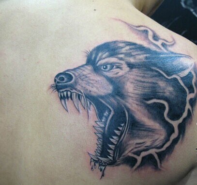 点击大图看下一张：肩部帅气的狼纹身图5