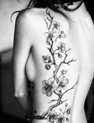 美女背部的梅花纹身