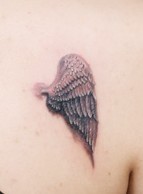 点击大图看下一张：背上的天使小翅膀