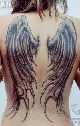 点击大图看下一张:天使的翅膀图5