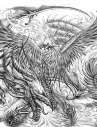 纹身520图库提供霸气的神兽凤凰纹身手稿图片图案